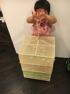 IMG_2742