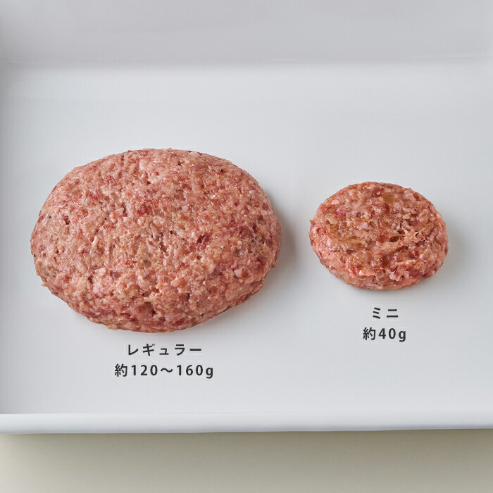 オークス　レイエ　バシバシ！ハンバーグメーカー　/　AUX