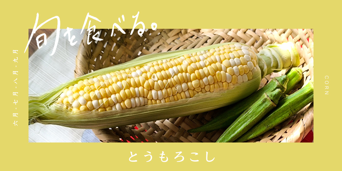 旬を食べる「とうもろこし」