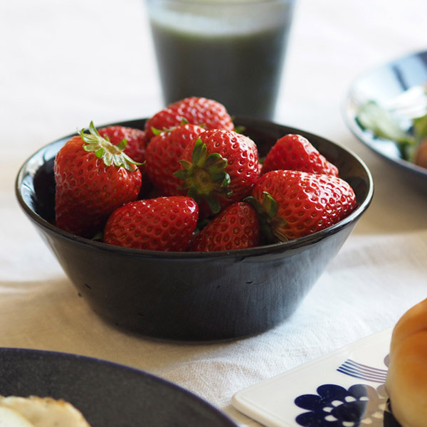 Iittala Teema イッタラ ティーマ ボウル 15cm ブラック 食器と料理道具の専門店 プロキッチン